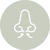 Nose Obstruction Icon