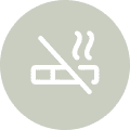 Stop Smoking Icon